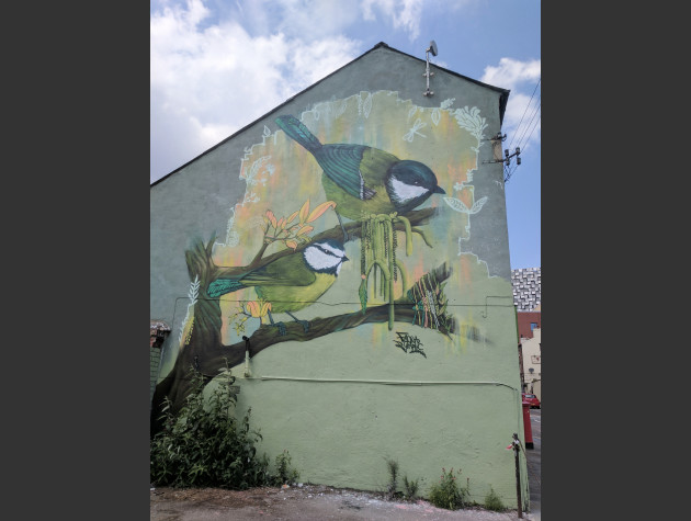 Faunagraphic mural of Blue Tits